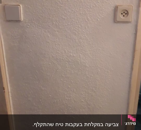 קיר מחוספס עם שקע ומתג חשמל